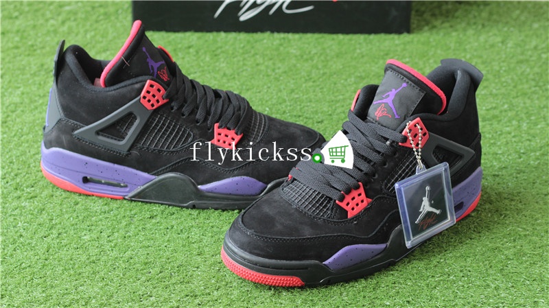 Air Jordan 4 Retro NRG Raptors Signature Version